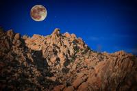 Joshua Tree Moonrise�